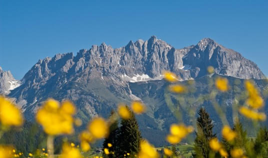 Wochenprogramm Wilder Kaiser